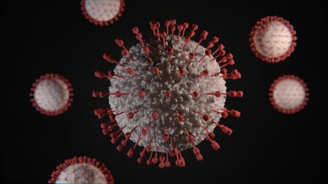 Na czym polega dezynfekcja wirusów