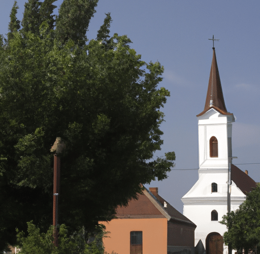 Szandory: Odkryj Największy Skarb Natury