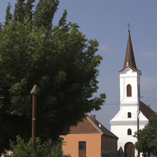 Szandory: Odkryj Największy Skarb Natury