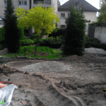 Eksperci ogrodnictwa w Pruszkowie: Jak założyć najpiękniejszy ogród?