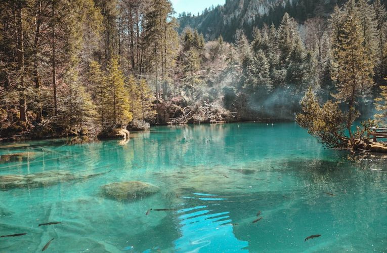 Wypoczynek nad malowniczym Jezioro Pogoria IV w Kuźnicy Warężyńskiej – raj dla miłośników natury i aktywnego spędzania czasu