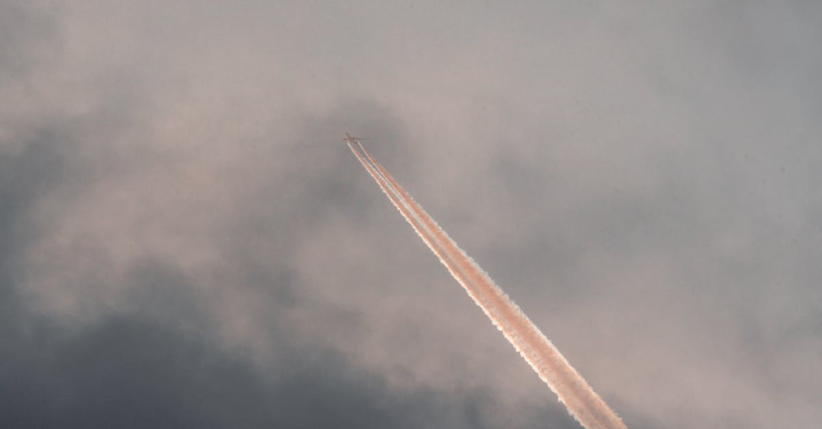 Jak skorzystać z Flightradar24 i śledzić loty na żywo